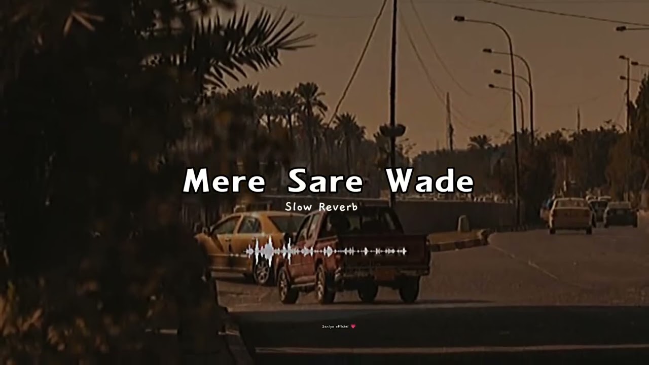 Mere sare wade re gaye song video 