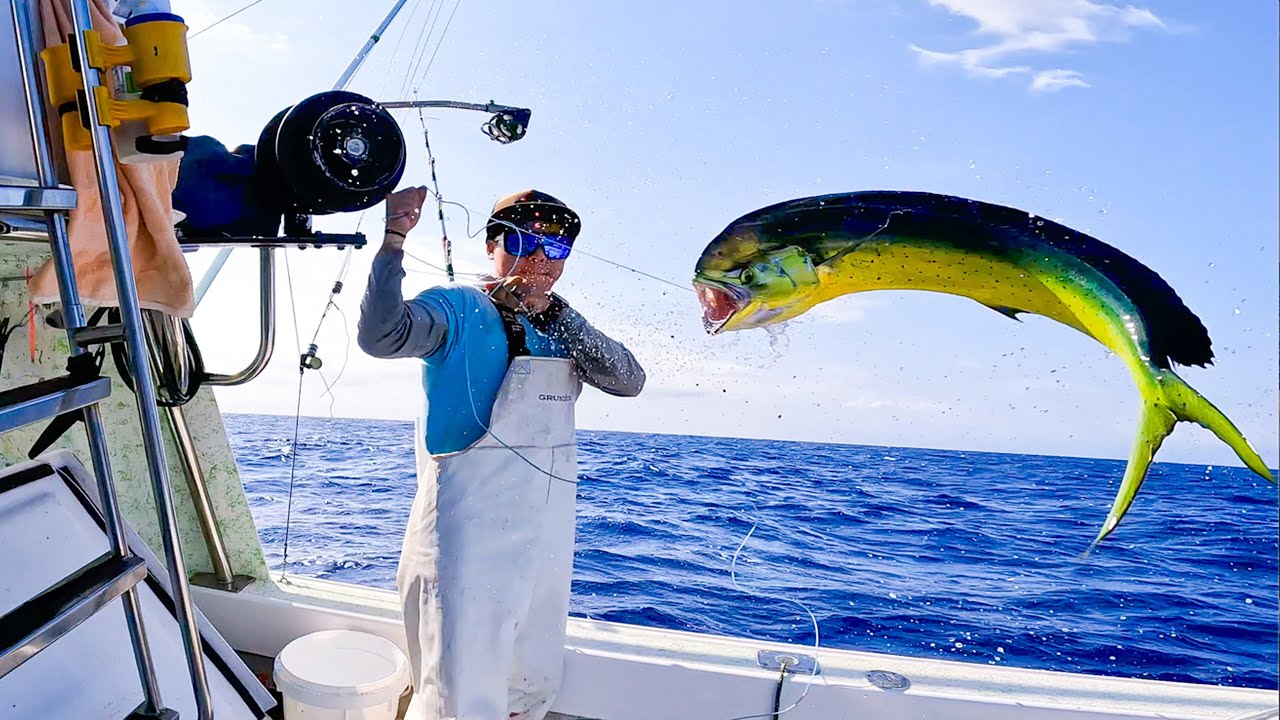 Best Sashimi Fish!  Catch - Clean - Sashimi