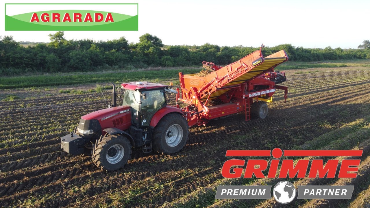 GRIMME SE260 i KS5400. Rozdrabnianie łęcin i zbiór ziemniaków. Haulm topper and potato harvester.