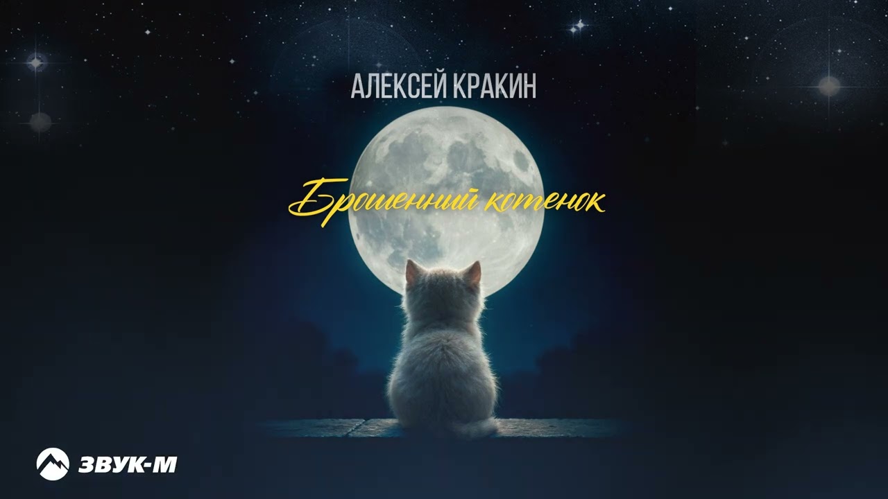 Алексей Кракин - Брошенный котенок | Премьера трека 2026