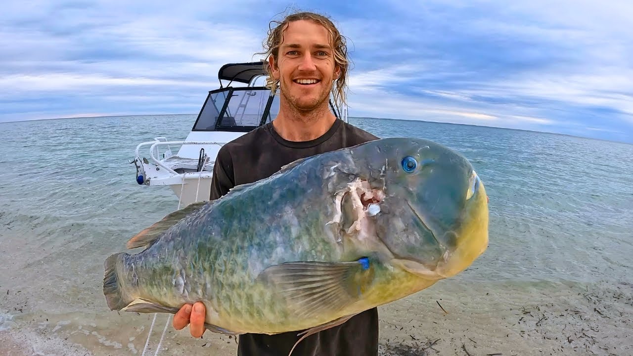Секретное место, полное рыбы — подводная охота SHARKBAY