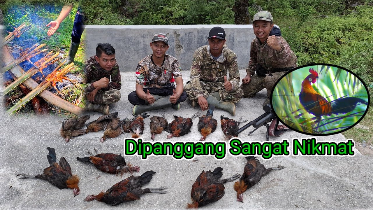 BERBURU AYAM HUTAN SAWIT Part 57 || Begitu Lezat Di Panggang