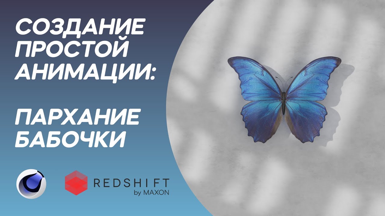 Tutorial Cinema 4D. Создание самой простой и красивой анимации бабочки