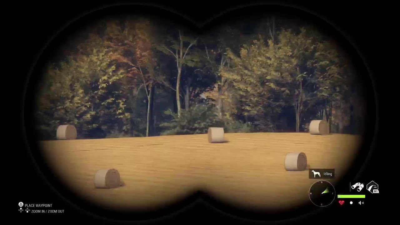 Call of the Wild.Kangaroo grind.