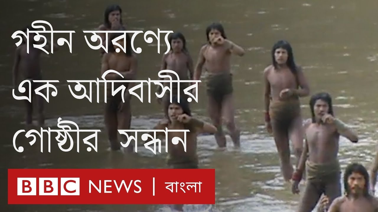 আমাজনের গহীন বনে বিচ্ছিন্ন এক আদিবাসী গোষ্ঠীর খোঁজ, কেমন তাদের জীবন? | BBC Bangla