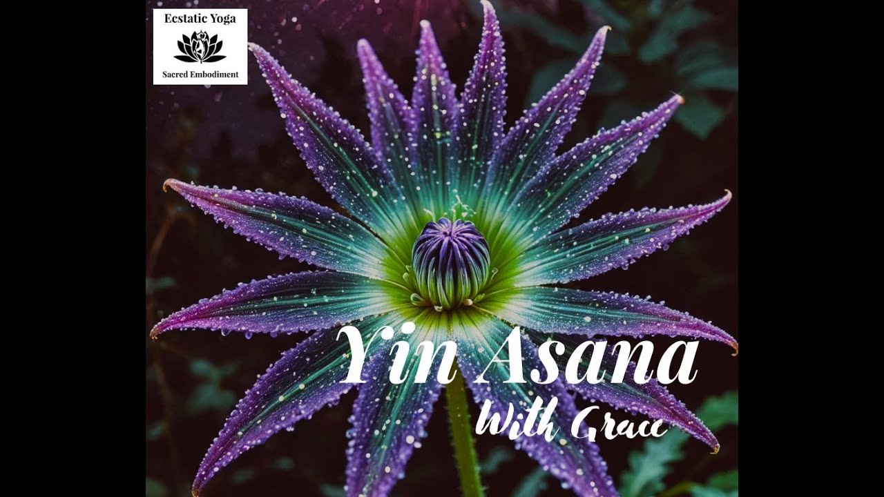 EY 300 Yin Asana Samana