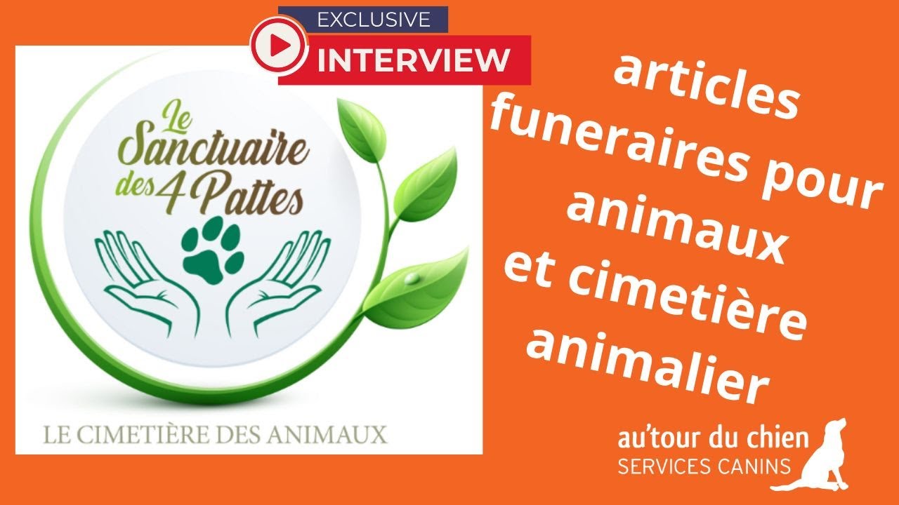 Deuil animalier articles funeraires pour animaux | interview de Delphine du Sanctuaire des 4 pattes