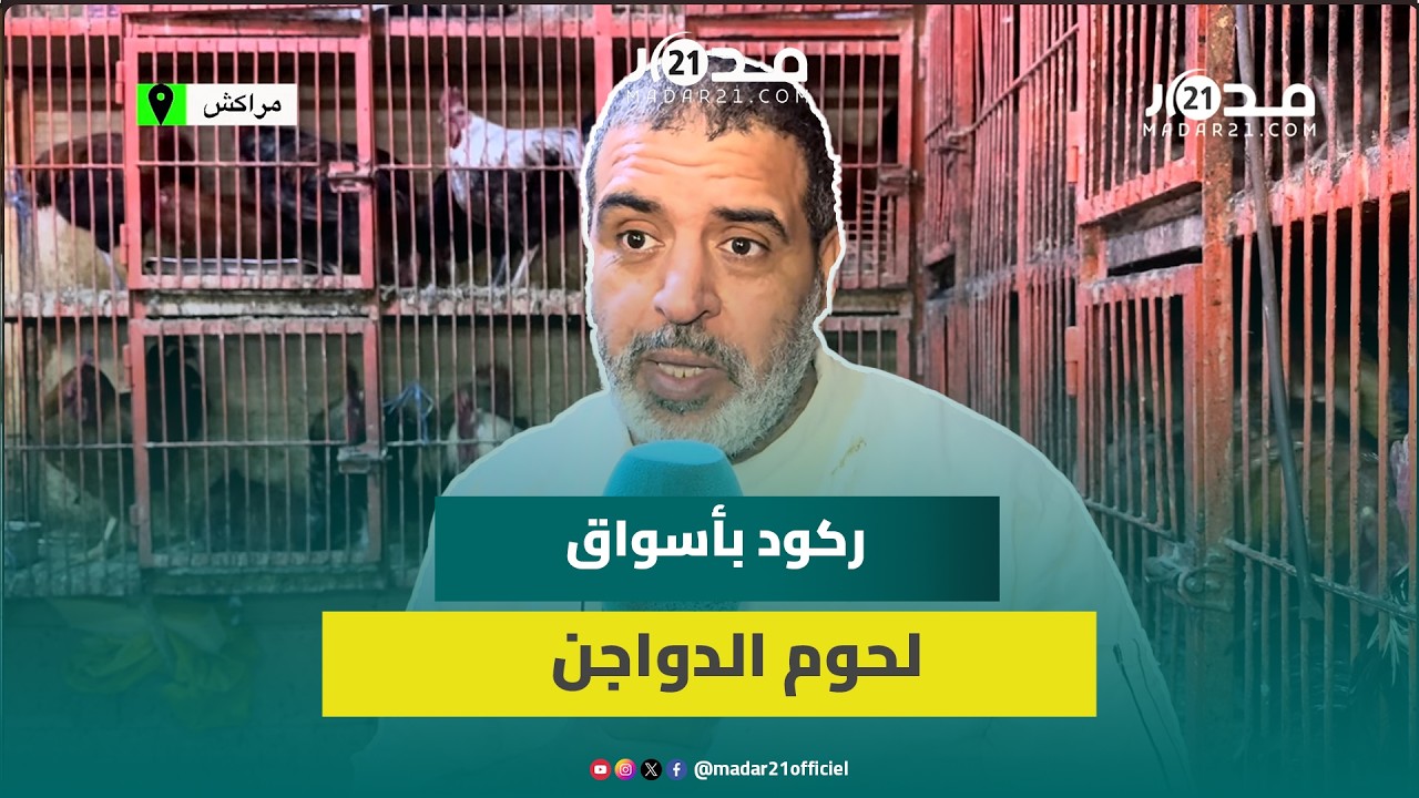 بائع دجاج: الإقبال تراجع بالنصف بسبب الغلاء والمسكين مابقاش قادر يشري الدجاج