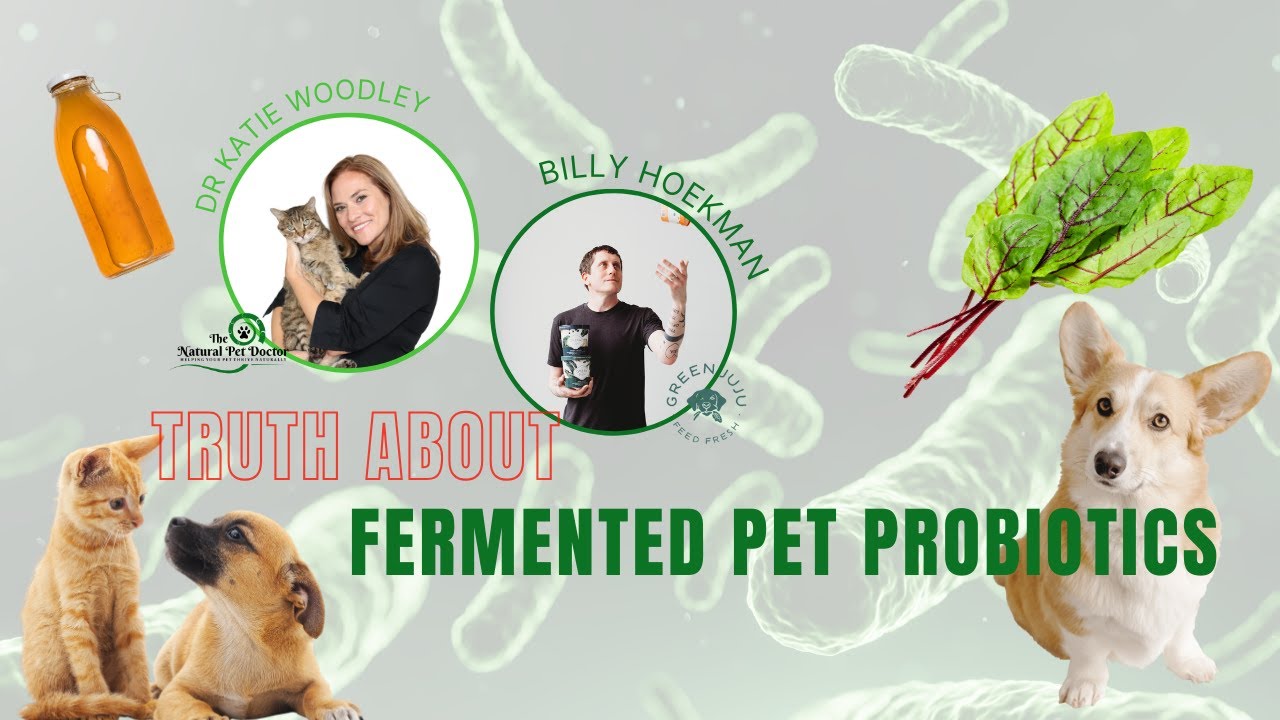 The Truth About Fermented Probiotics for Pets with Green Juju For Pet Gut Health