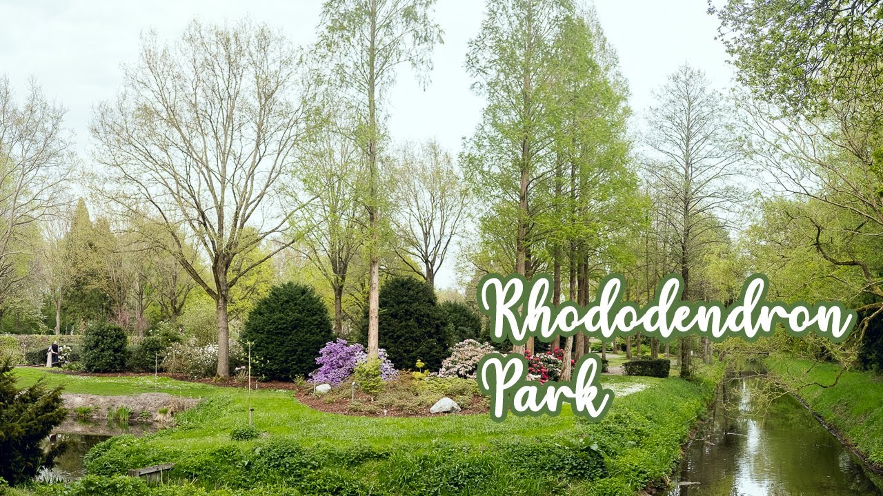 The most beautiful Park in Germany - Rhododendron Park