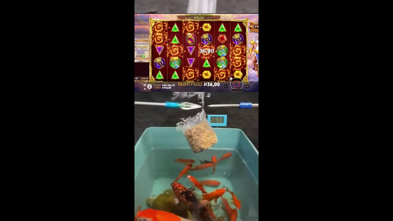 Livestream von gabedagenais