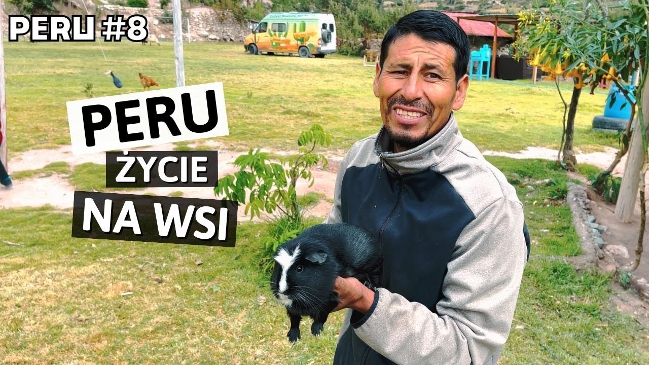VANLIFE PERU | Składanie świnek morskich w ofierze? | Ciekawostki z peruwiańskiej wsi