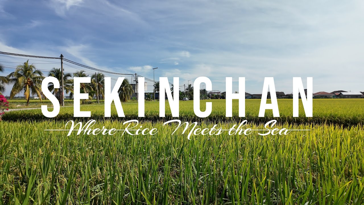 Explore Sekinchan in a Day: Stunning Rice Fields, Seafood & Hidden Gems! 适耕庄一日游：稻田、美味海鲜与隐藏的宝藏！