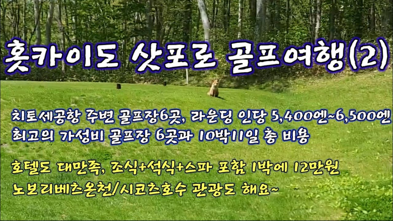#일본 #삿포로#치토세#골프 #여행 #연어#총비용#라운딩 #비용