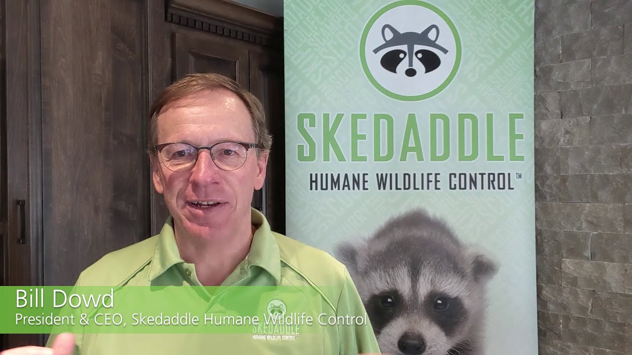 What Makes Skedaddle Different? - Skedaddle Franchise