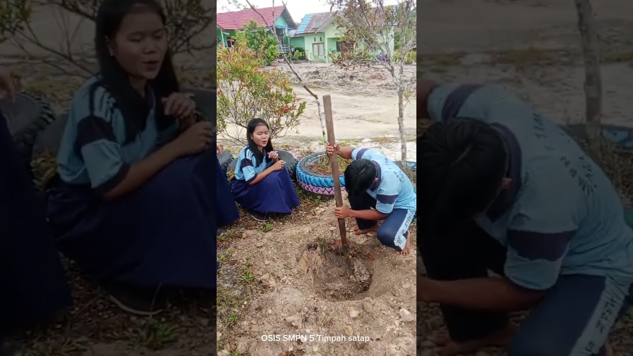 Penanaman pohon buah-buahan di lingkungan sekolah SMPN 5 Timpah satap 