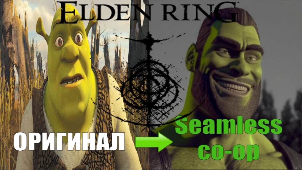 Гайд по установке мода Seamless Co-op. Играем с нормальным кооперативом в Elden Ring.