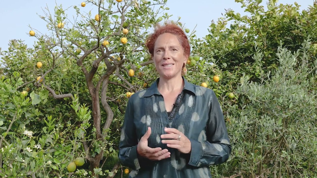 Giusi Murabito on the diversity of agriculture on Mount Etna.