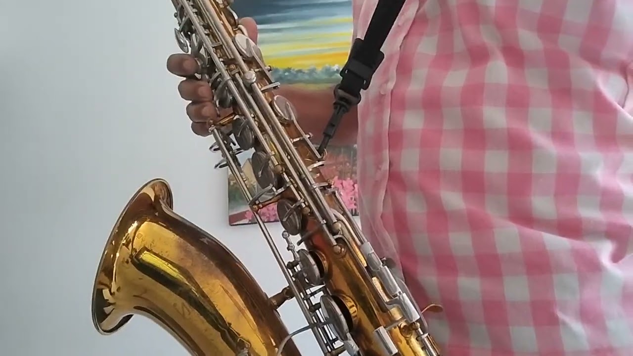 Tutorial Saxofon Tenor La Pantera Rosa