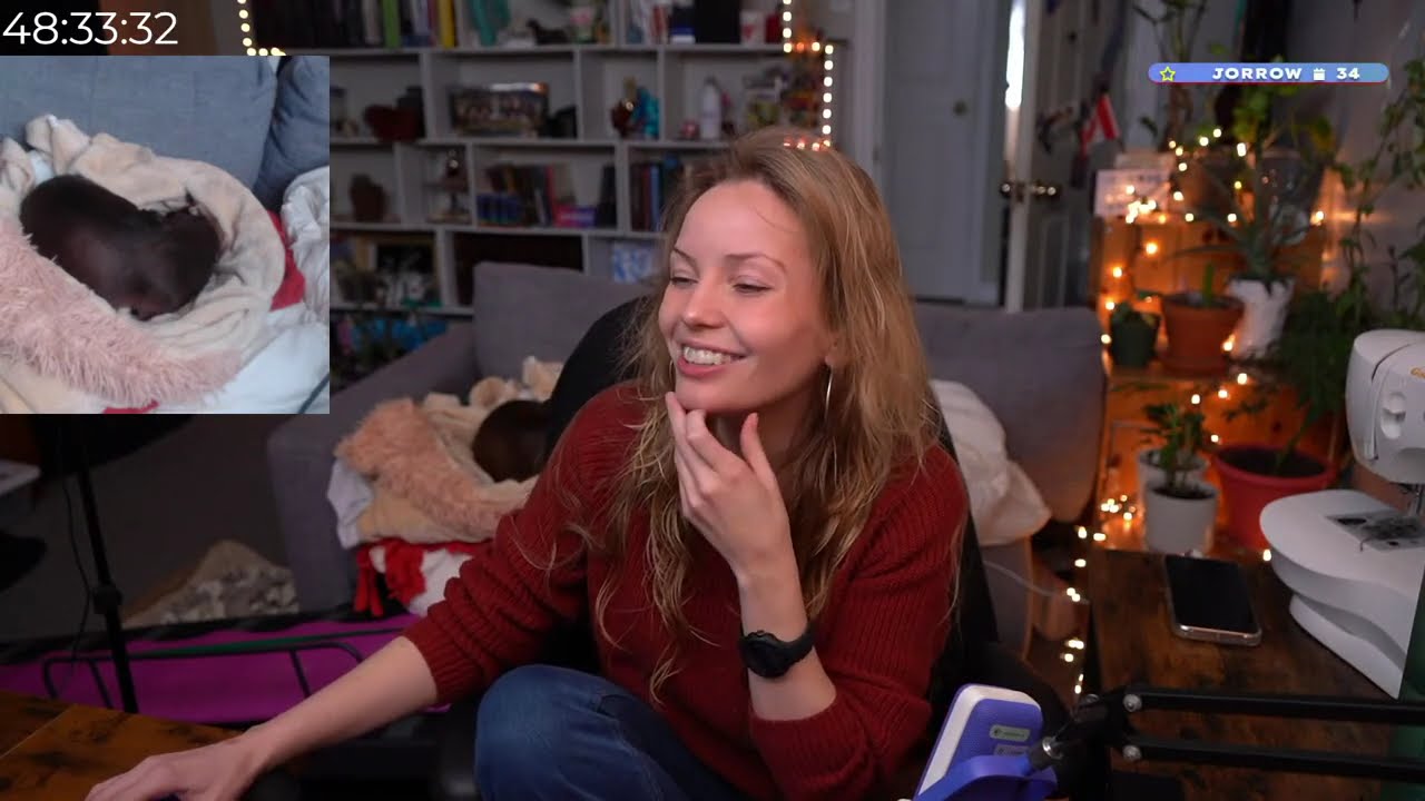 BEAVER CITY BUILDER GAME👀 TIMBERBORN! [CANADIAN]