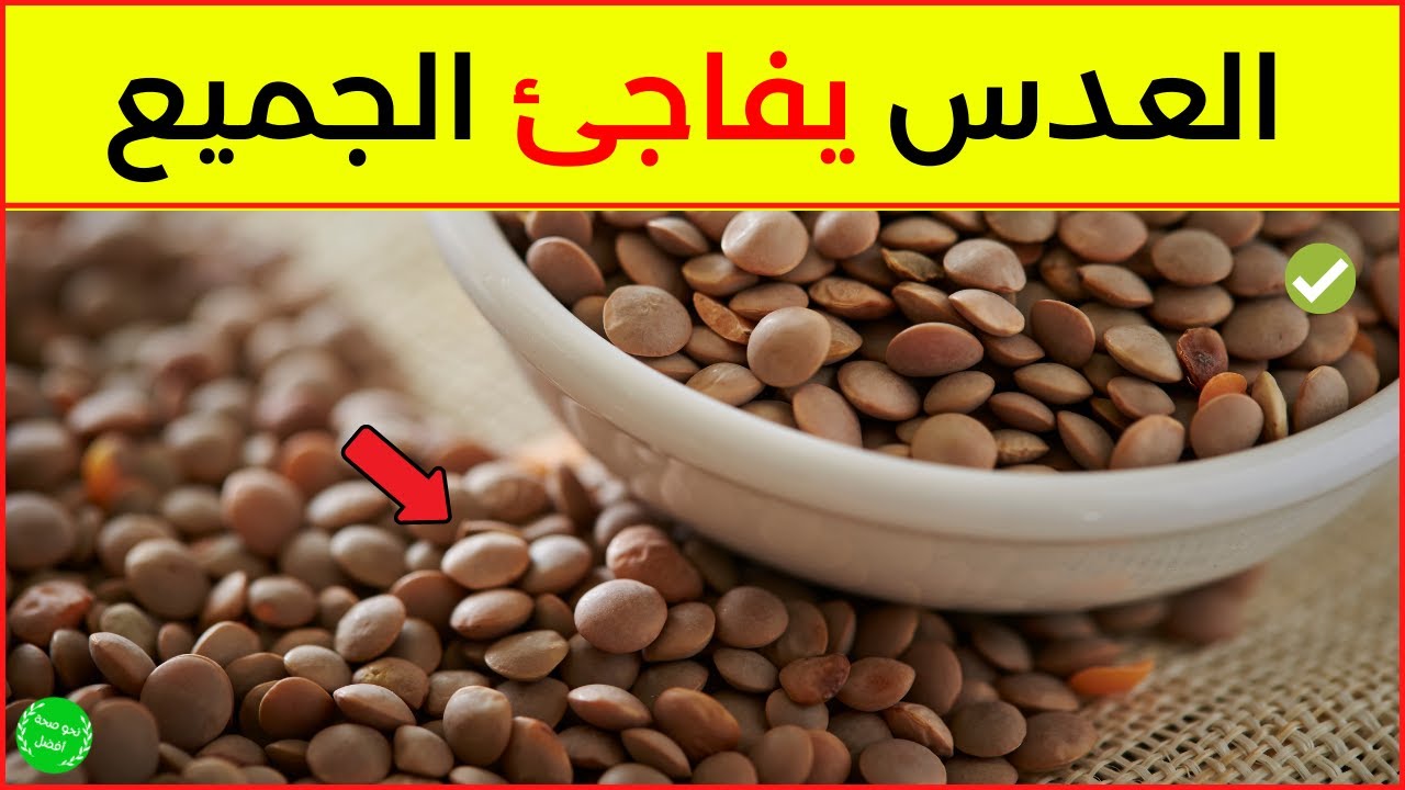 فوائد العدس وتأثيره على الصحة - لهذه الأسباب ينصح بتناول العدس - 12 فائدة مذهلة للعدس