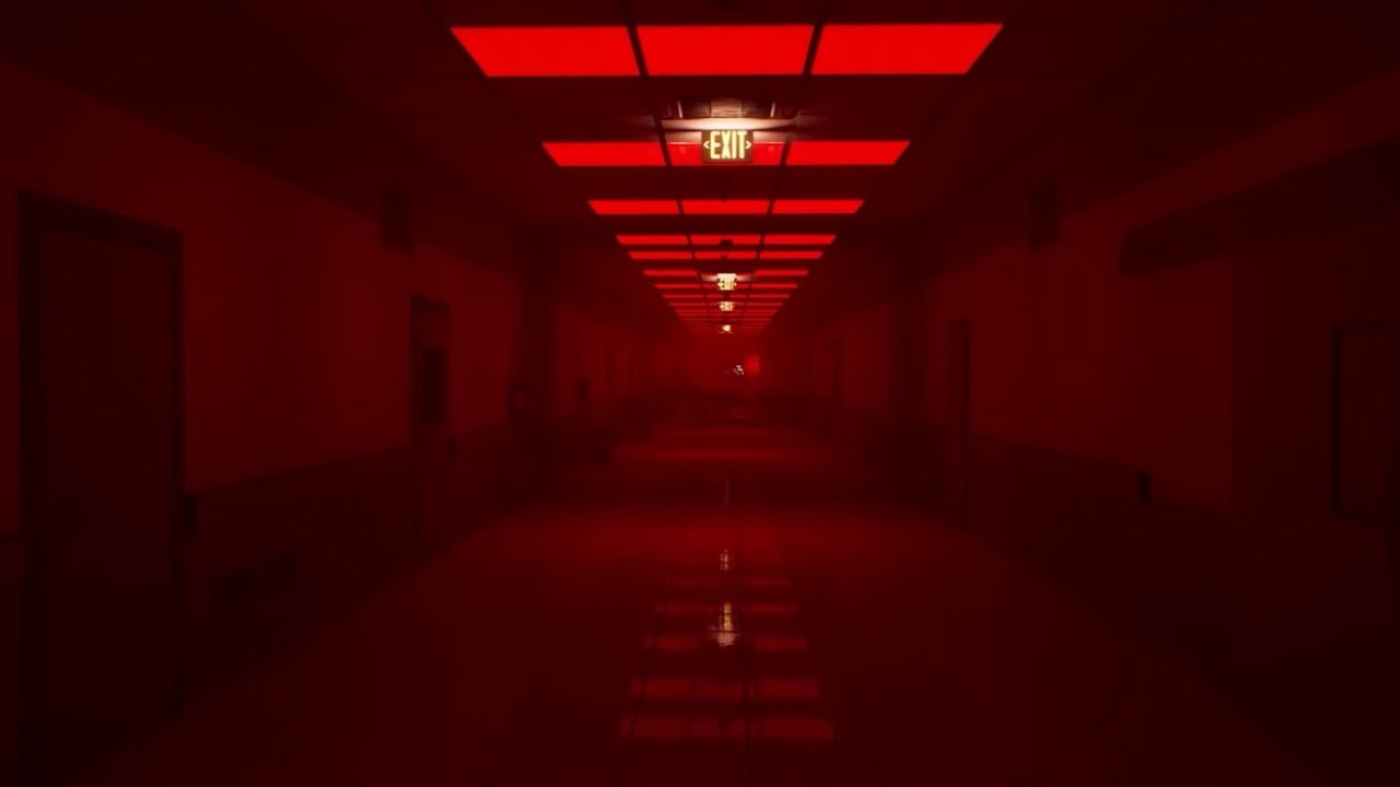Level ! 'Run For Your Life' Soundtrack (Remastered + Slowed) - Dapper Husky