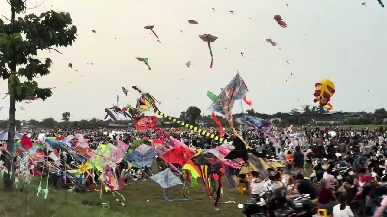 Buổi chiều biển người thả dieu trên  cánh đồng bà canh# hóc môn# mùng 6 tết