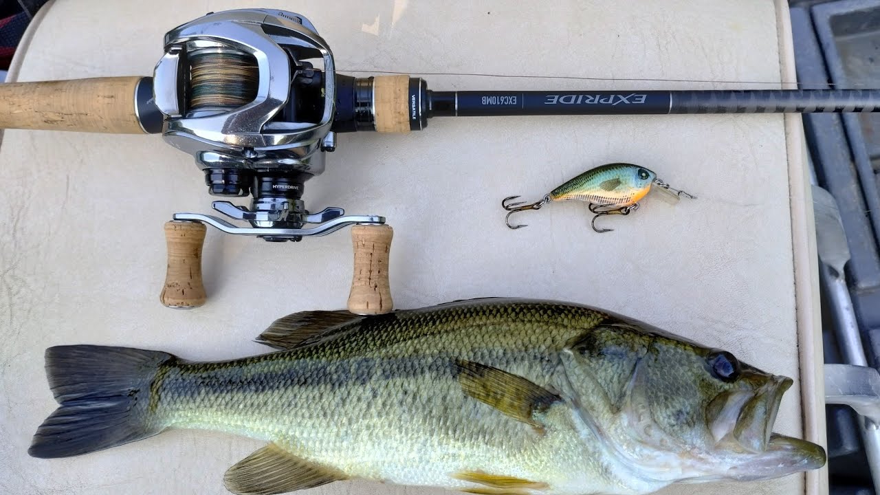 Daiwa Steez Limited SV TW Shallow Boost Spool Shimano Expride 610m Best JerkBait Baitcasting Bass Co