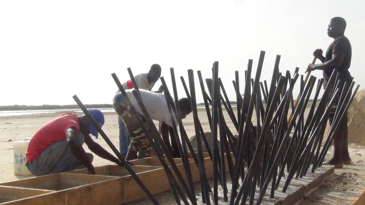 Artificial Reef program Operation Dry wood 2021