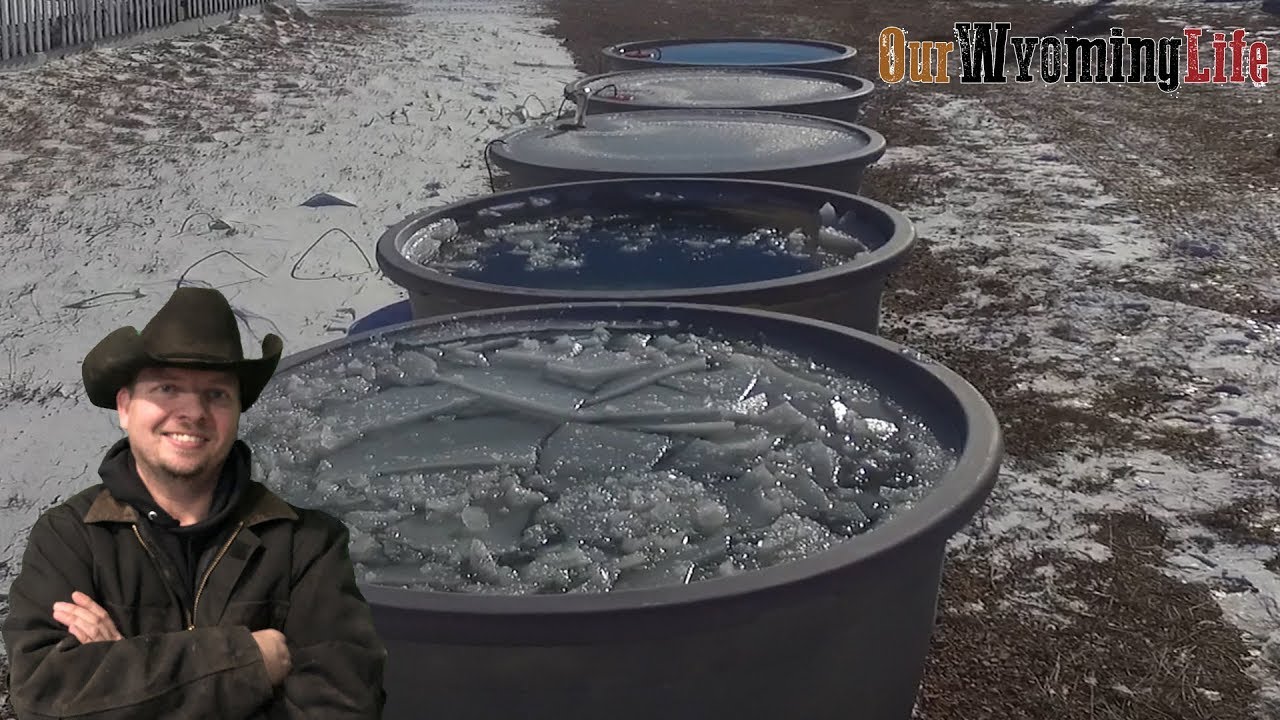 The AG Stock Tank Experimental - What Works Best?