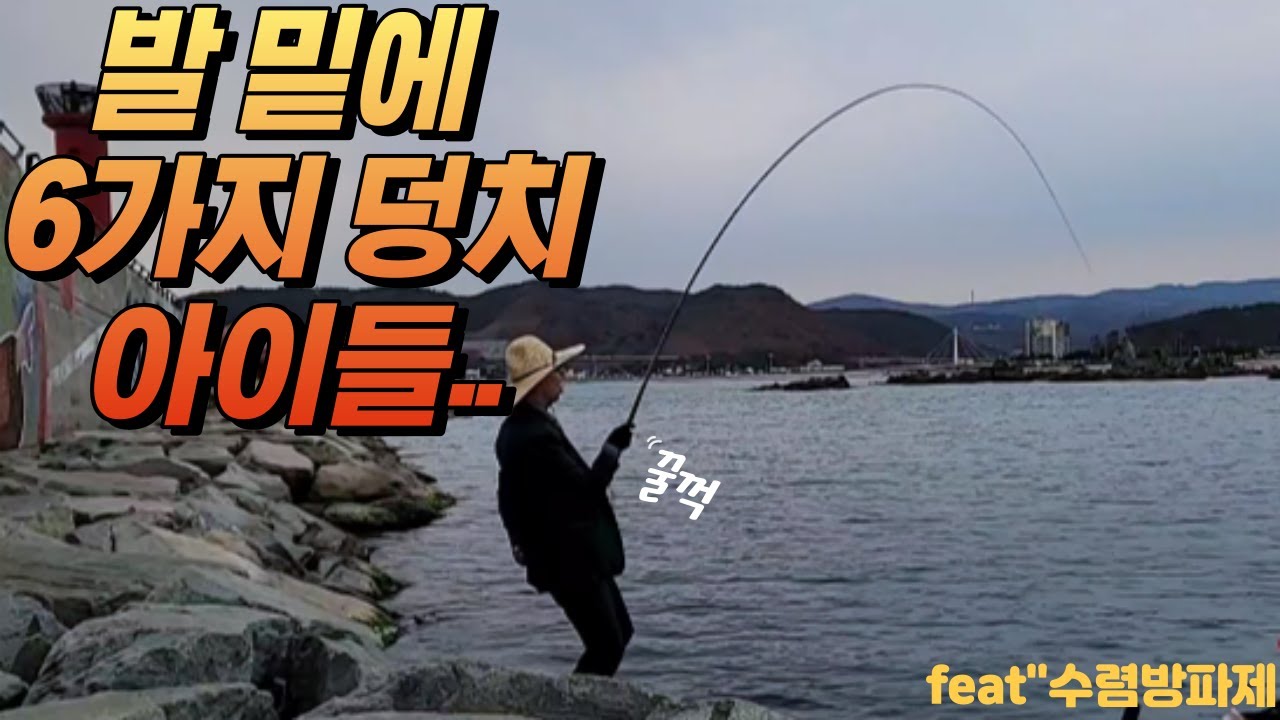내항 낚시중 발앞에서 6가지 덩치 어종들 편하게 잡자 힐링낚시 fear''수렴방파제