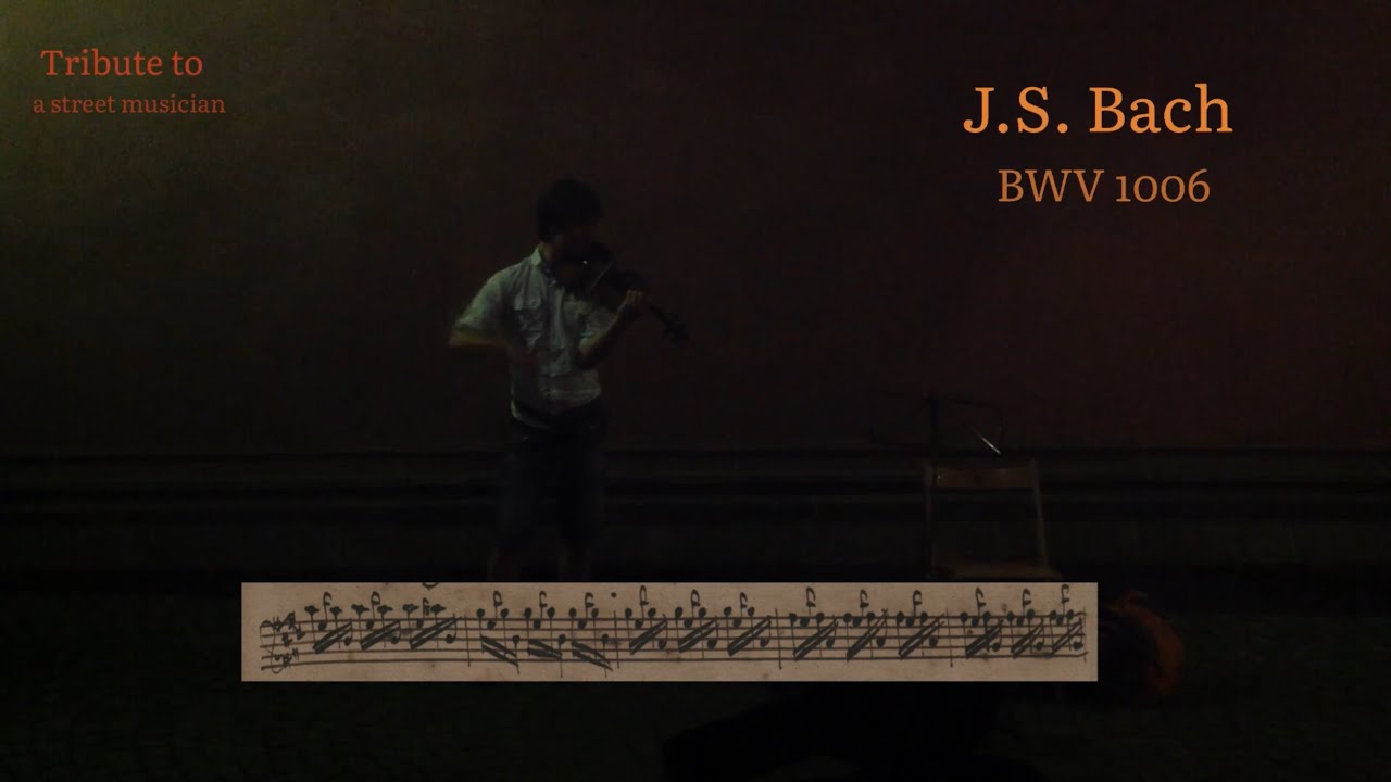 A Tribute to a Street Musician