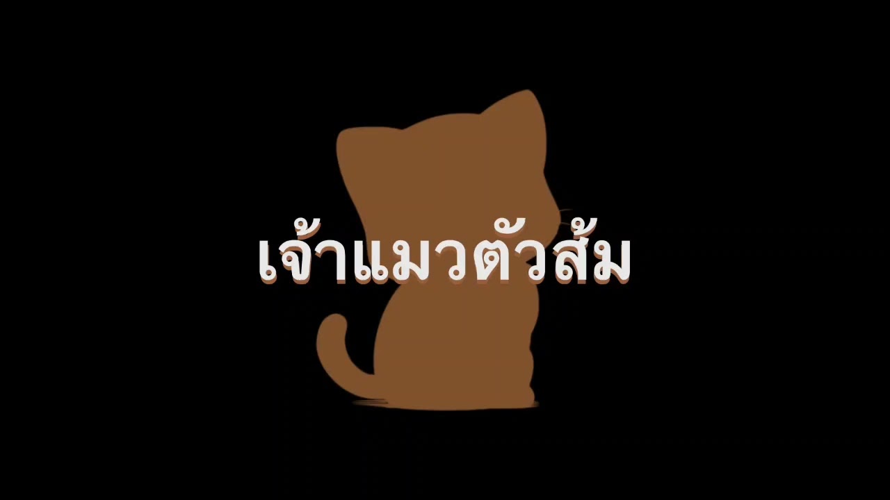 เจ้าแมวตัวส้ม - Cirrus