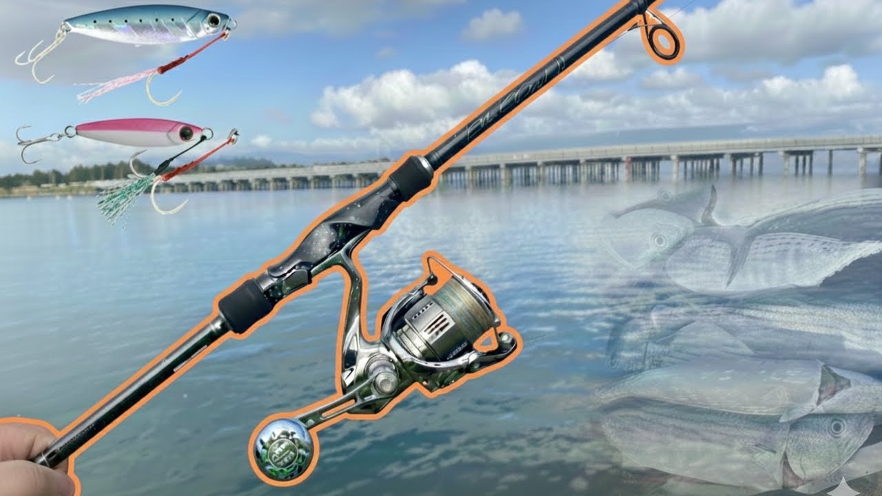 Micro Shore Jigging | Yamaga Blanks | Bagged Out!
