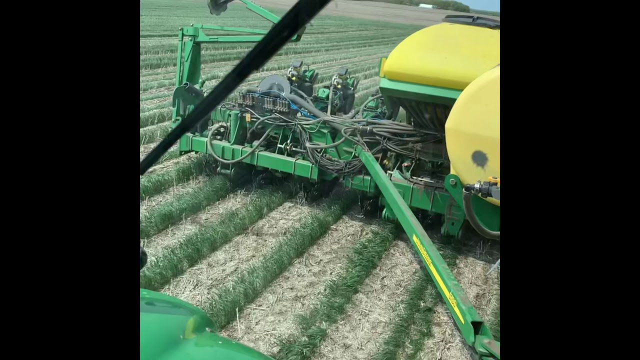 Manitoba relay winter wheat and soybeans crop trial