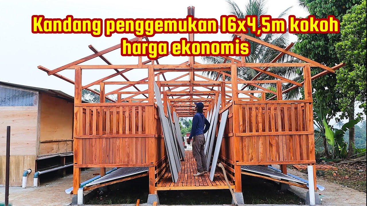 Kandang penggemukan kapasitas 48ekor individu tinggal pakai info +62 882-3919-9456