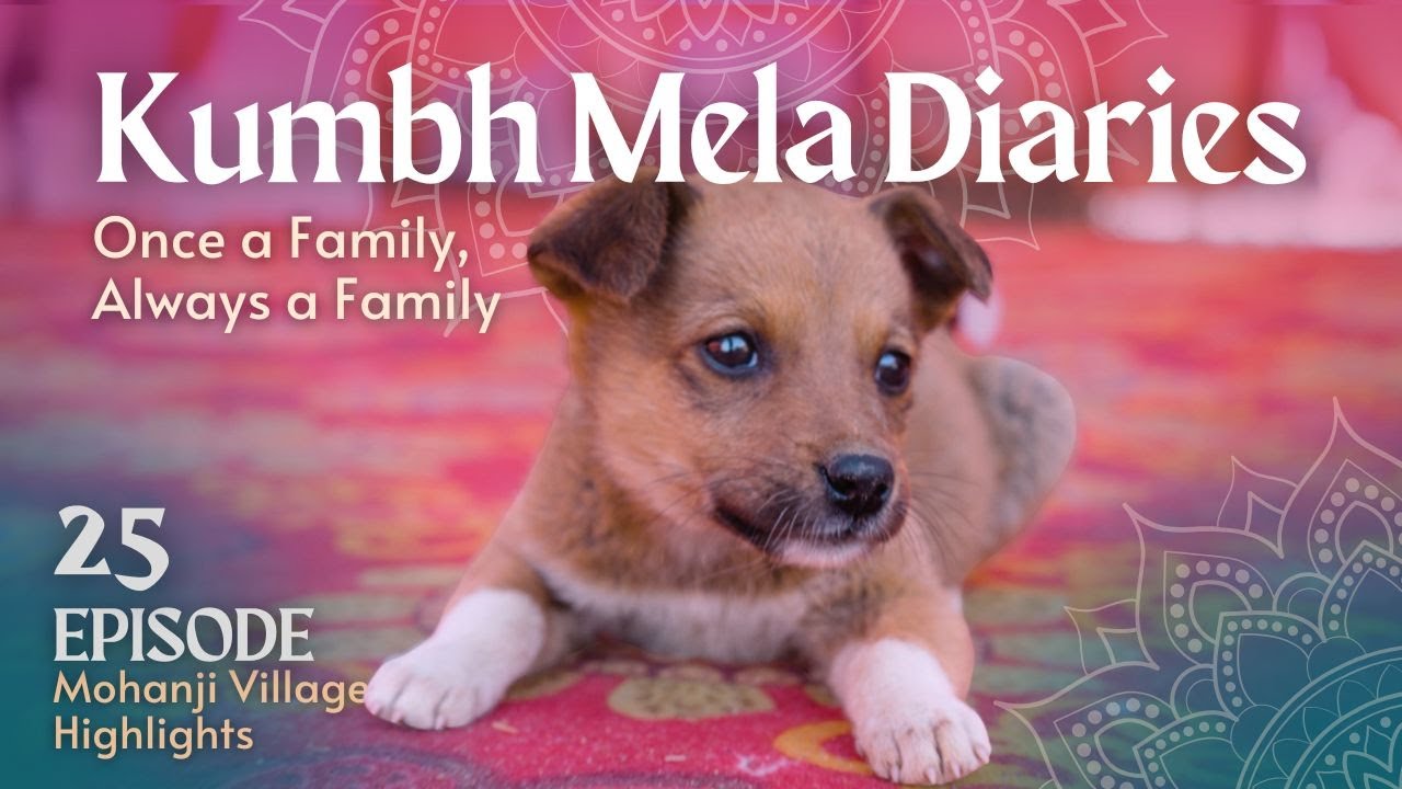 Once a Family, Always a Family ˙✧˖°🎥 ༘ ⋆° Kumbh Mela Diaries 🎬 Mohanji Village Highlights