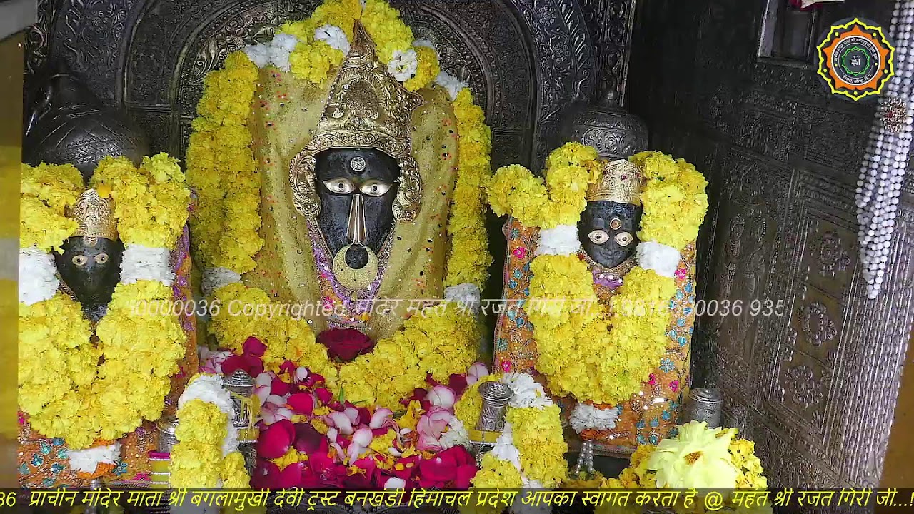 Maa Baglamukhi Official_Live Darshan_mahant shree Rajat giri ji_