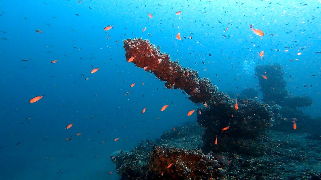 HMS Nasturtium, Malta
