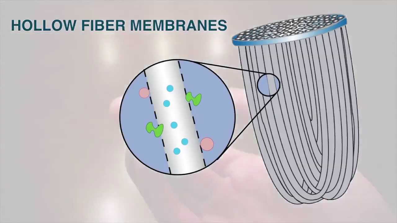 Sawyer MINI Water Filter hollow fiber membranes