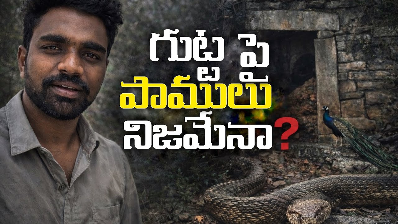 గుట్ట పై పాములు నిజమేనా? #prabhastalks 