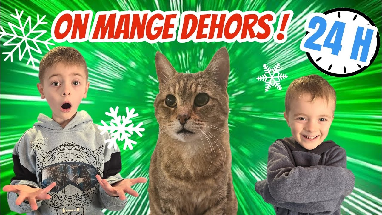 Les chats décident de TOUT pendant 24H !