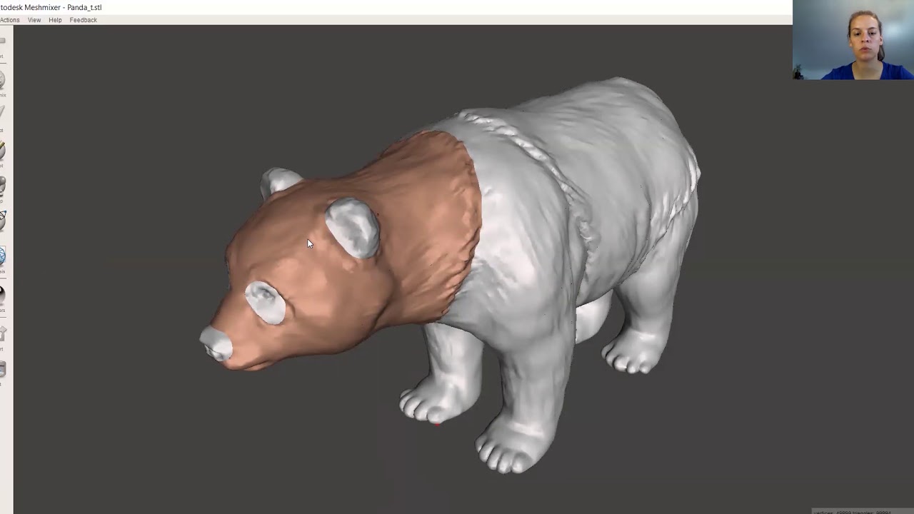 TUTO MESHMIXER  — préparer un modèle pour la double extrusion