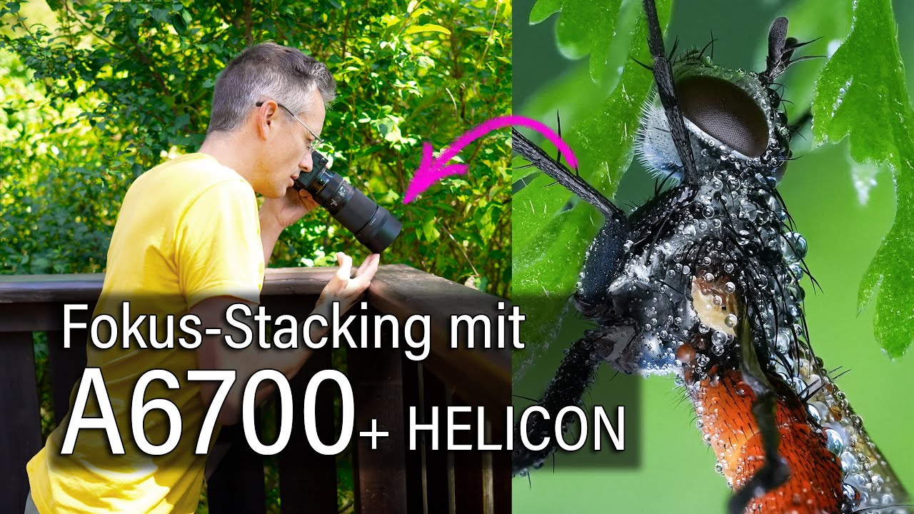 Fokus Bracketing Anleitung mit Sony A6700 | Fokus Stacking