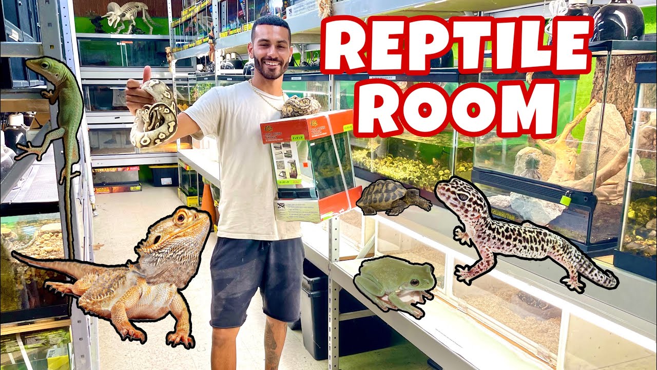 CRAZIEST BEST FAMILY OWNED PET SHOP IN FLORIDA! *HANDS DOWN!*