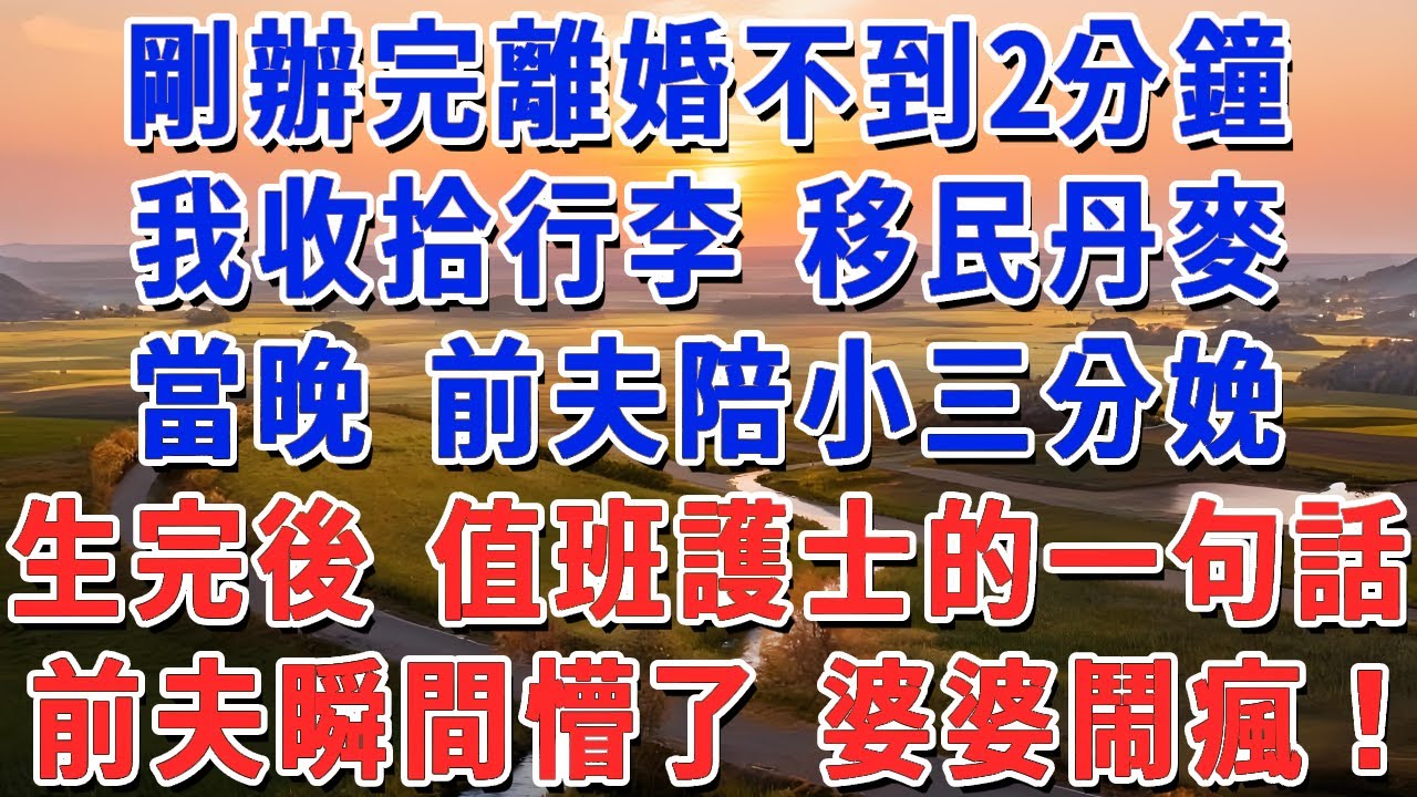 剛辦完離婚不到2分鐘，我收拾行李 移民丹麥，當晚 前夫陪小三分娩，生完後 值班護士的一句話，前夫瞬間懵了 婆婆鬧瘋！#妮妮故事會 #情感故事 #老年生活