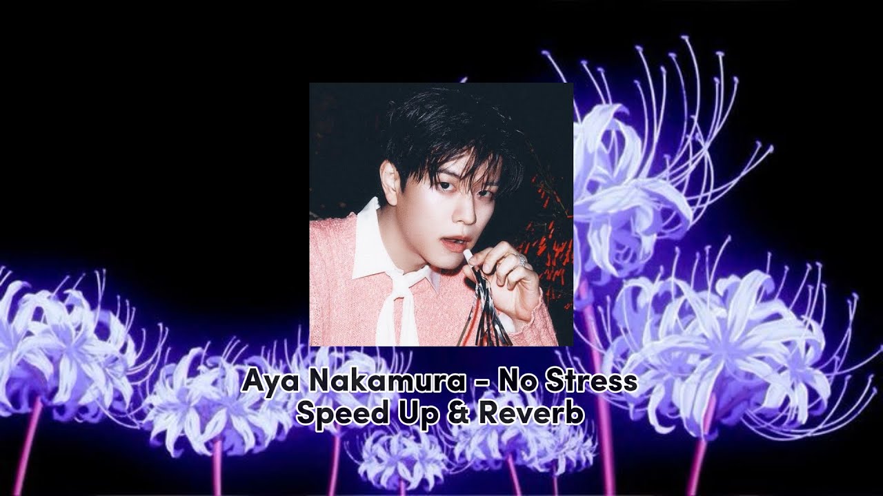 Aya Nakamura - No Stress(Speed Up & Reverb)