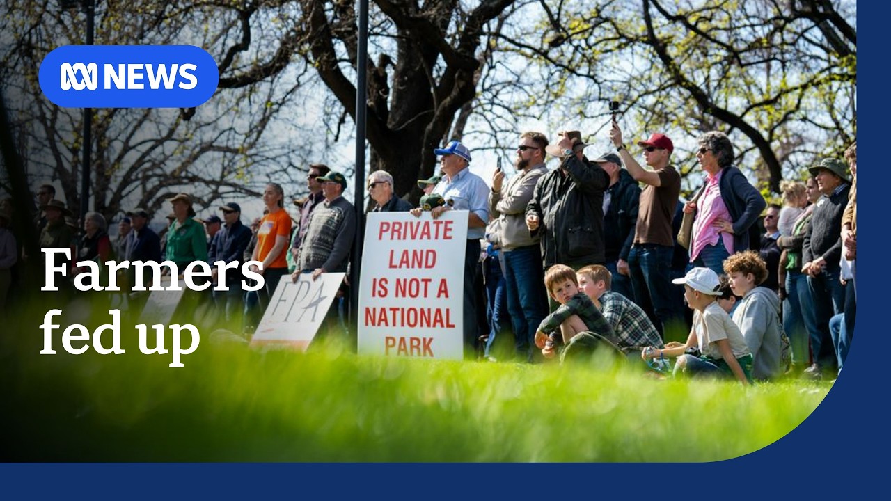Farmers protest over land clearing laws in Tasmania | ABC News