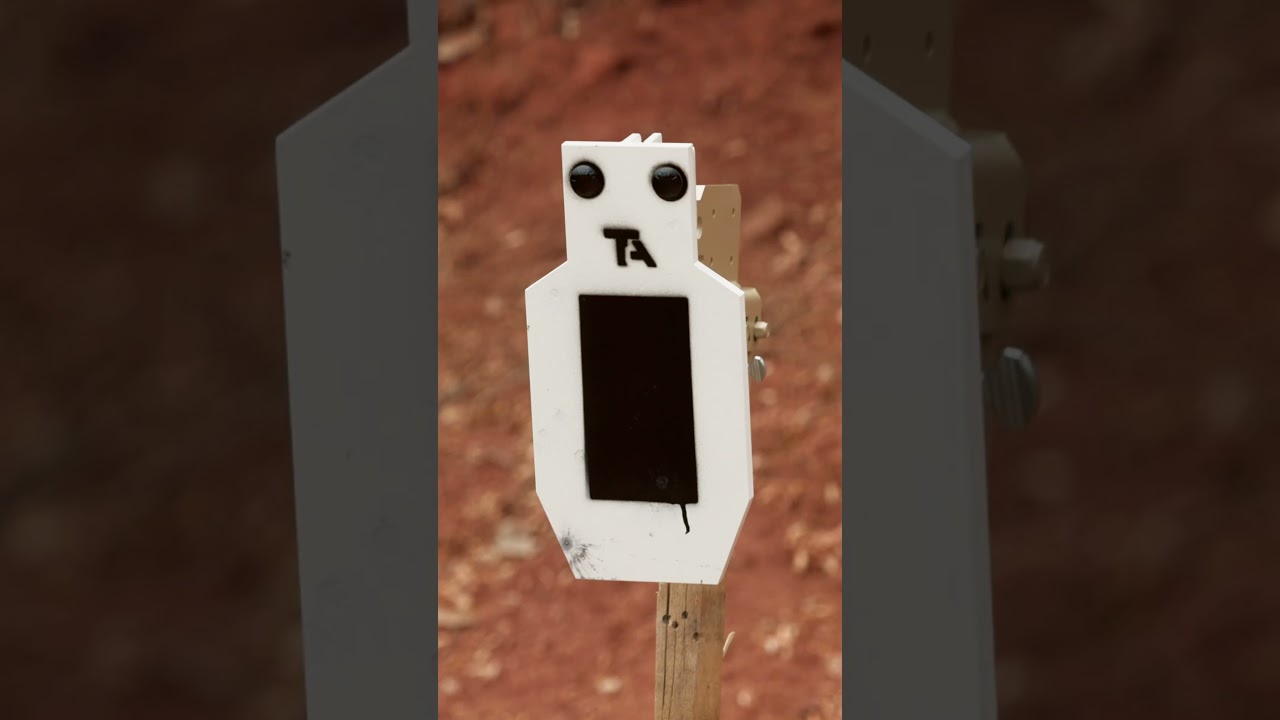 Do Steel Targets shoot back?