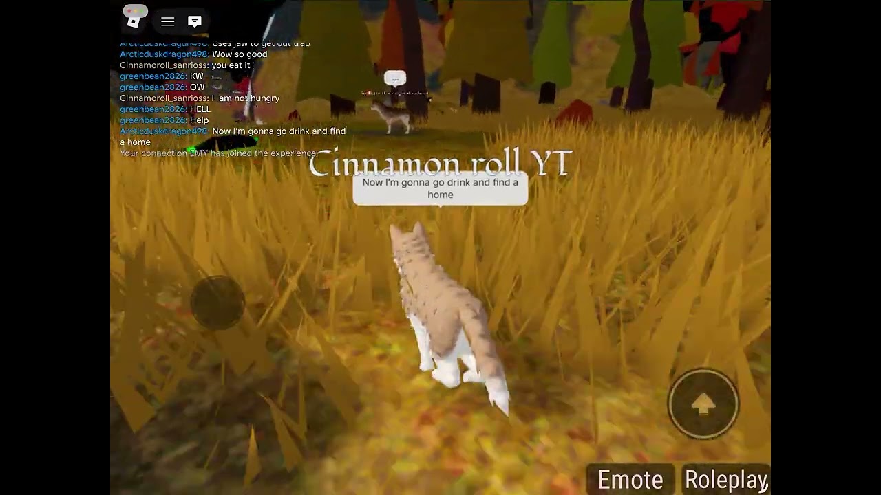 Cinnaomon yt